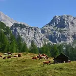 Apartment Apartma Pr Gatej Bohinj
