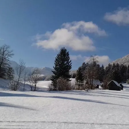 Appartement Apartma Pr Gatej Bohinj