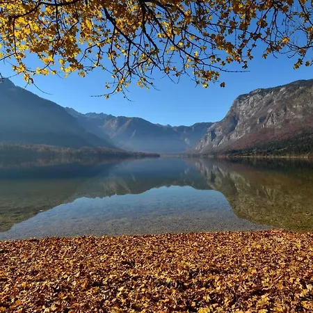 Apartma Pr Gatej Апартаменты *