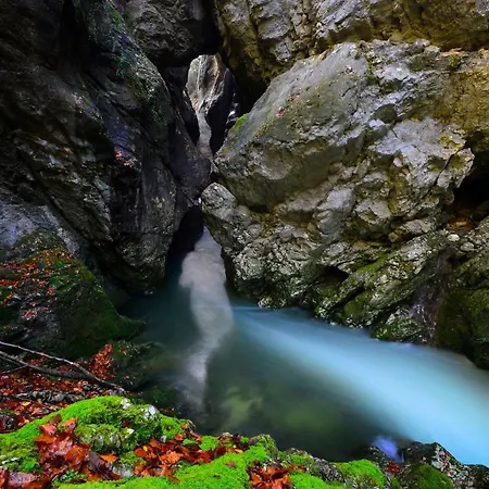 Apartma Pr Gatej Апартаменты Бохинь