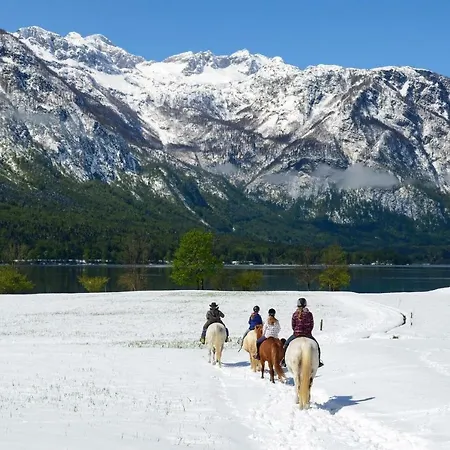 Apartma Pr Gatej Апартаменты *