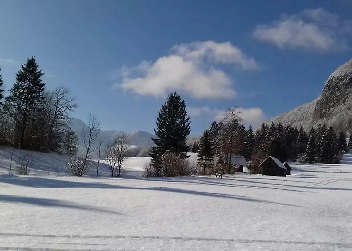 Apartment Apartma Pr Gatej Bohinj