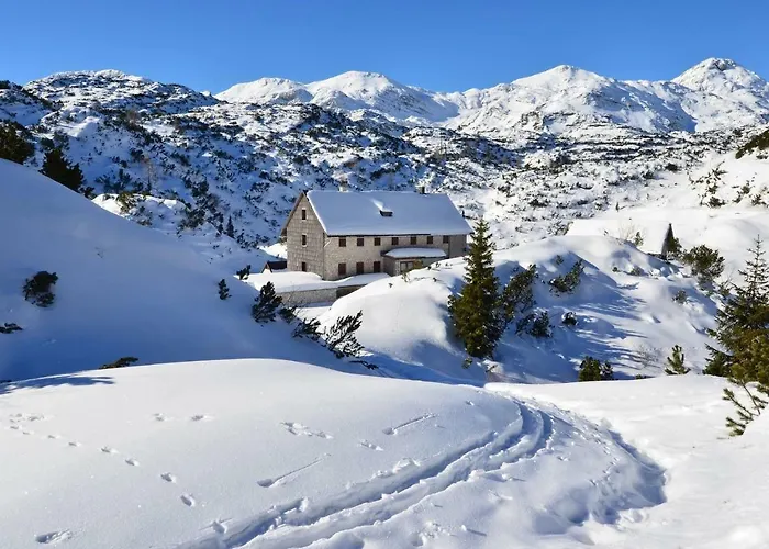 Apartma Pr Gatej 博希尼