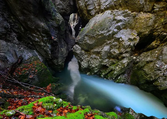 Apartma Pr Gatej 公寓 博希尼