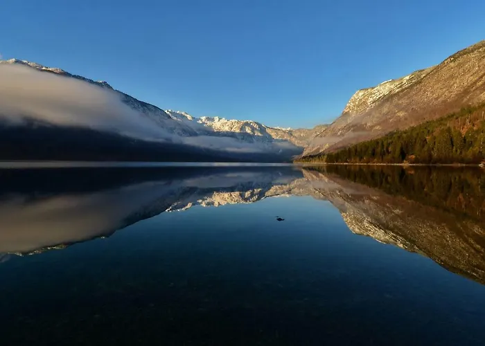 Apartma Pr Gatej 博希尼