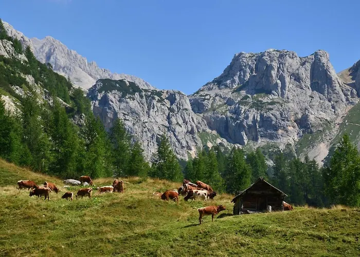 Apartment Apartma Pr Gatej Bohinj